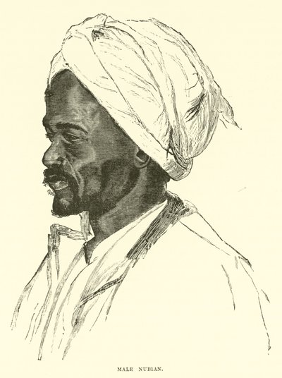 Muž Nubian od English School