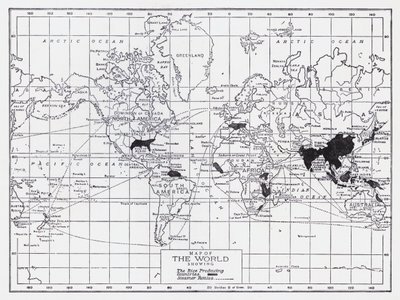 Mapa světa s vyznačením zemí produkujících rýži (litografie) od English School