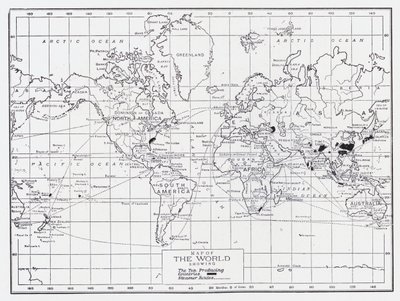 Mapa světa zobrazující země produkující čaj od English School