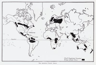 Mapa zobrazující lesní oblasti (litho) od English School