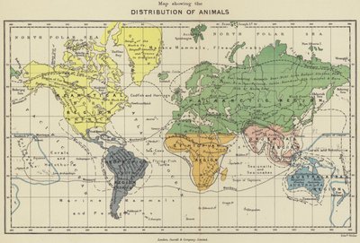 Mapa rozšíření živočichů (barevná litografie) od English School