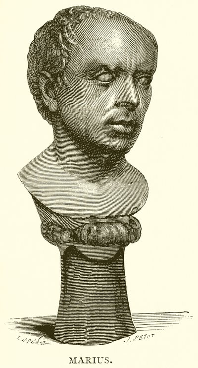 Marius od English School