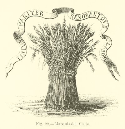 markýz del Vasto od English School