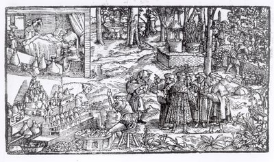 Pěstování lékařských bylin, 1531 od English School
