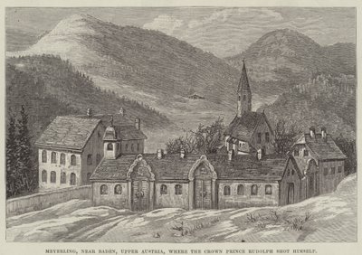 Závěsný od English School