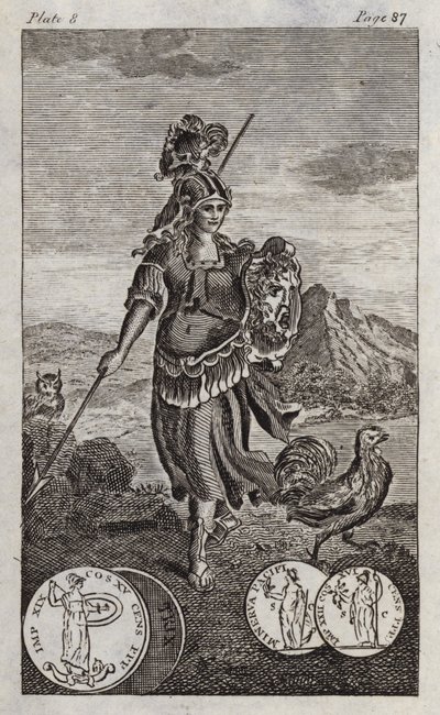 Minerva nebo Pallas (rytina) od English School