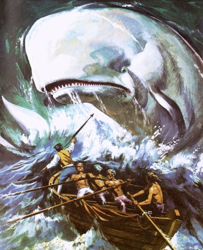 Moby Dick od English School