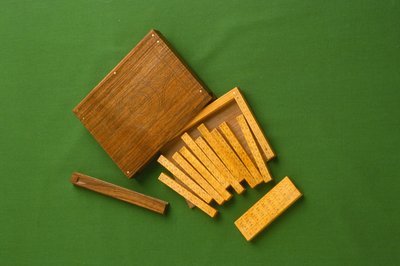 Moderní replika kostí Napiers (zimostráz a ořech) od English School
