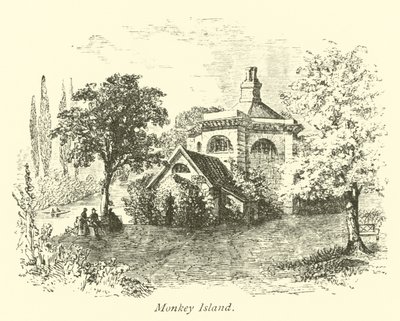 Opičí ostrov od English School