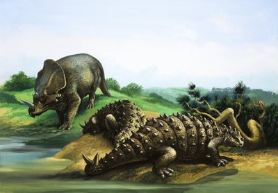 Monoclonius a Scolosaurus od English School