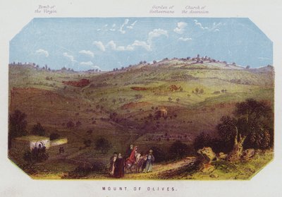 Olivová hora (barva litho) od English School