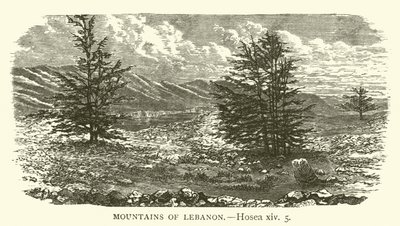 Hory Libanonu, Ozeáš, xiv, 5 (rytina) od English School