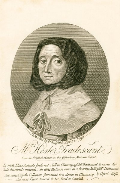 paní Hester Tradescant od English School