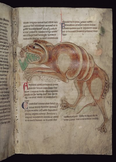Ms.254 f.24 r Cocodrillus Swallowing a Man od English School