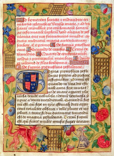 Ms 261 fol.1r Stránka ze sbírky morových traktátů v latině a angličtině, cca 1500 od English School