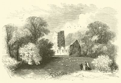 Mucruss Abbey (rytina) od English School