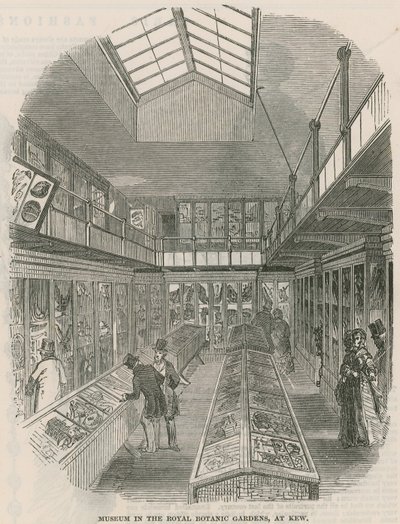 Muzeum v Královské botanické zahradě v Kew od English School