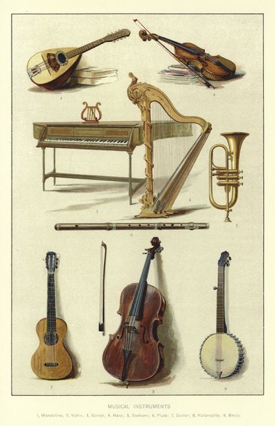 Hudební nástroje od English School