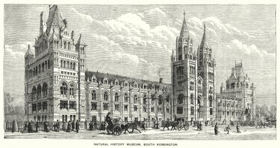 Natural History Museum, South Kensington (rytina) od English School