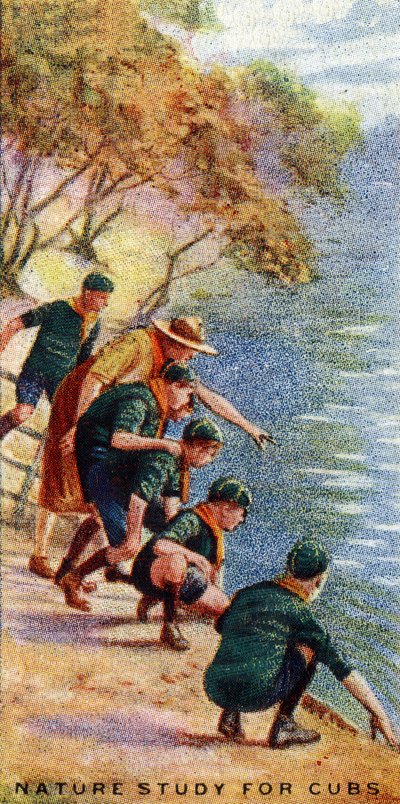 Přírodovědná studie pro mláďata, 1929 od English School