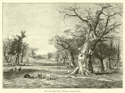Blízko Goat Pen, Windsor Great Park od English School