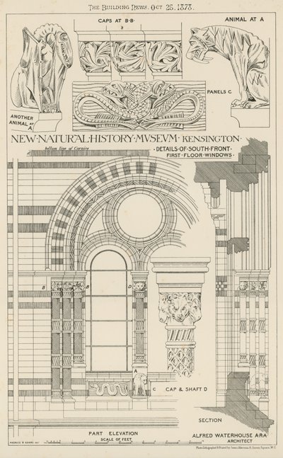 New Natural History Museum, South Kensington, Londýn od English School