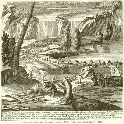 Niagara a Bobří přehrady od English School