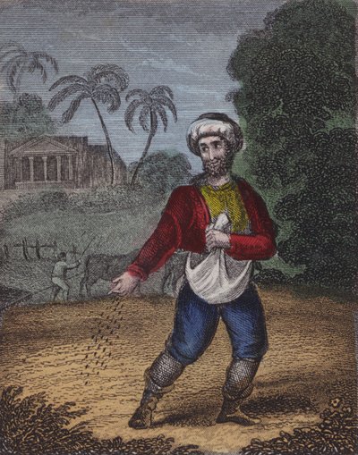 Žádný prozíravý hospodář neočekává... (barevná rytina) od English School