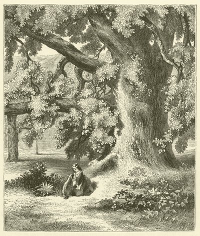 Starý ořešák v Mentmore (rytina) od English School