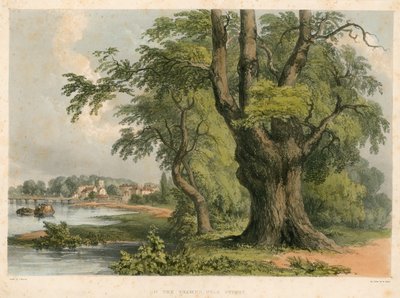 Na řece Temži poblíž Putney v Londýně od English School