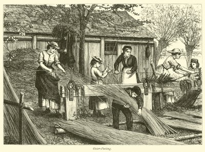 Vrbový peeling od English School