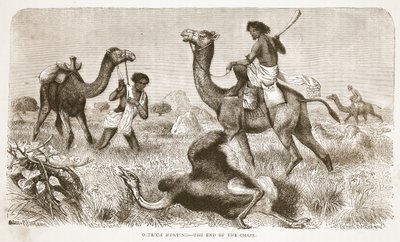 Lov pštrosů- konec honičky, ilustrace z Obrazového vydání života a objevů Davida Livingstona od J. Ewinga Richieho, pub. od A. Fullarton & Co., 1876 od English School