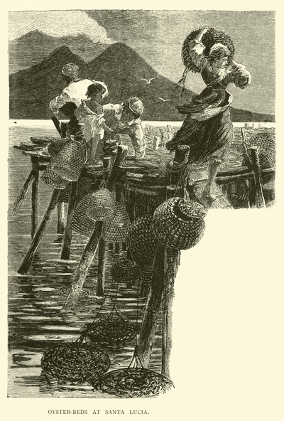 Ústřicové postele v Santa Lucia od English School