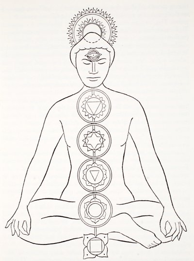 Padmasana nebo lotosová pozice od English School