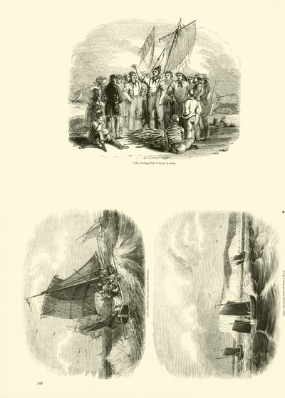 Stránka z Obrazového muzea animované přírody od English School