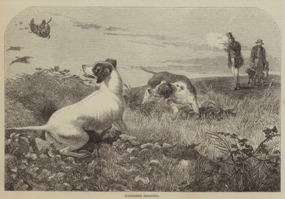 Partridge Shooting (rytina) od English School