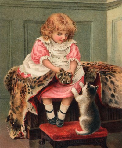 Tlapky a drápy od English School