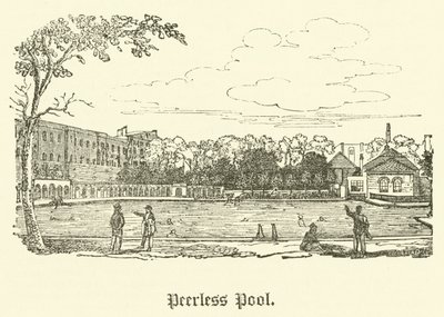 Peerless Pool (rytina) od English School