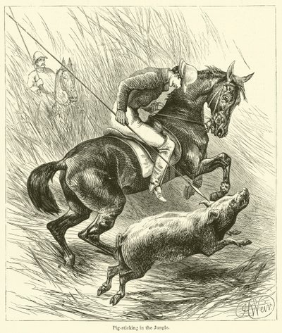 Zastrčení prasete v džungli (rytina) od English School