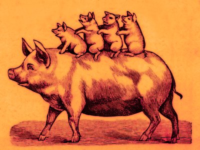 Prase se svými selaty, ilustrace z Coles Funny Picture Book (digitálně vylepšený obrázek) od English School