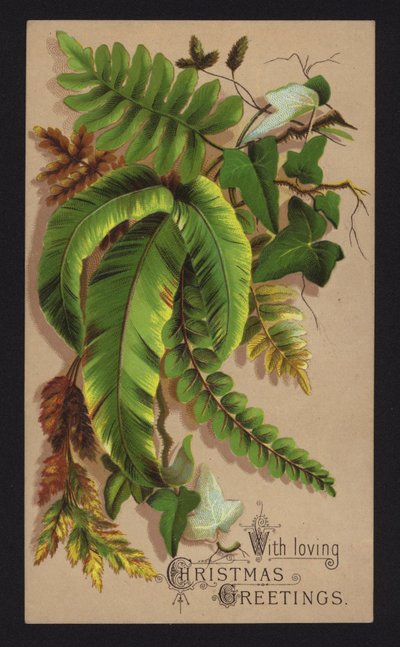 Listy rostlin, vánoční přání, konec 19. nebo začátek 20. století (chromolit) od English School