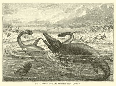 Plesiosaurus a Ichthyosaurus od English School