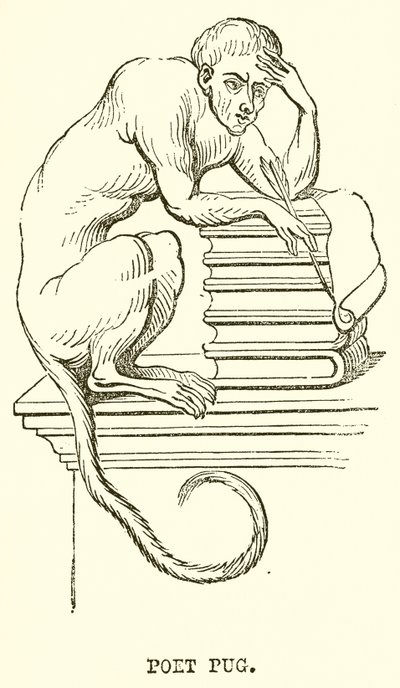 Básník Pug od English School