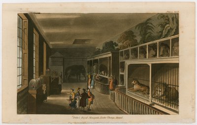 Politos Royal Menagerie, Exeter Change, Strand od English School