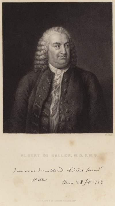 Portrét Alberta de Hallera od English School