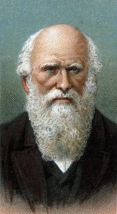 Portrét Charlese Roberta Darwina (1809-1882) - Ze série "" Leaders of Men "" - Chromolitografie - Anglická škola, 20. století - od English School