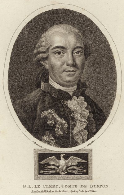 Portrét Georges-Louis Leclerc, hrabě z Buffonu od English School