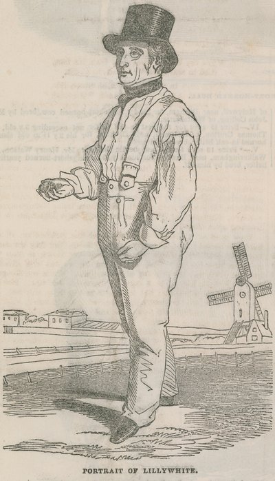 Portrét Lillywhite od English School