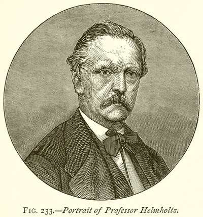 Portrét profesora Helmholtze od English School