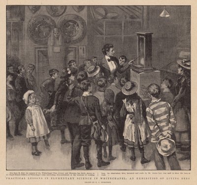 Praktická výuka elementárních věd ve Whitechapel; Výstava živých včel od English School